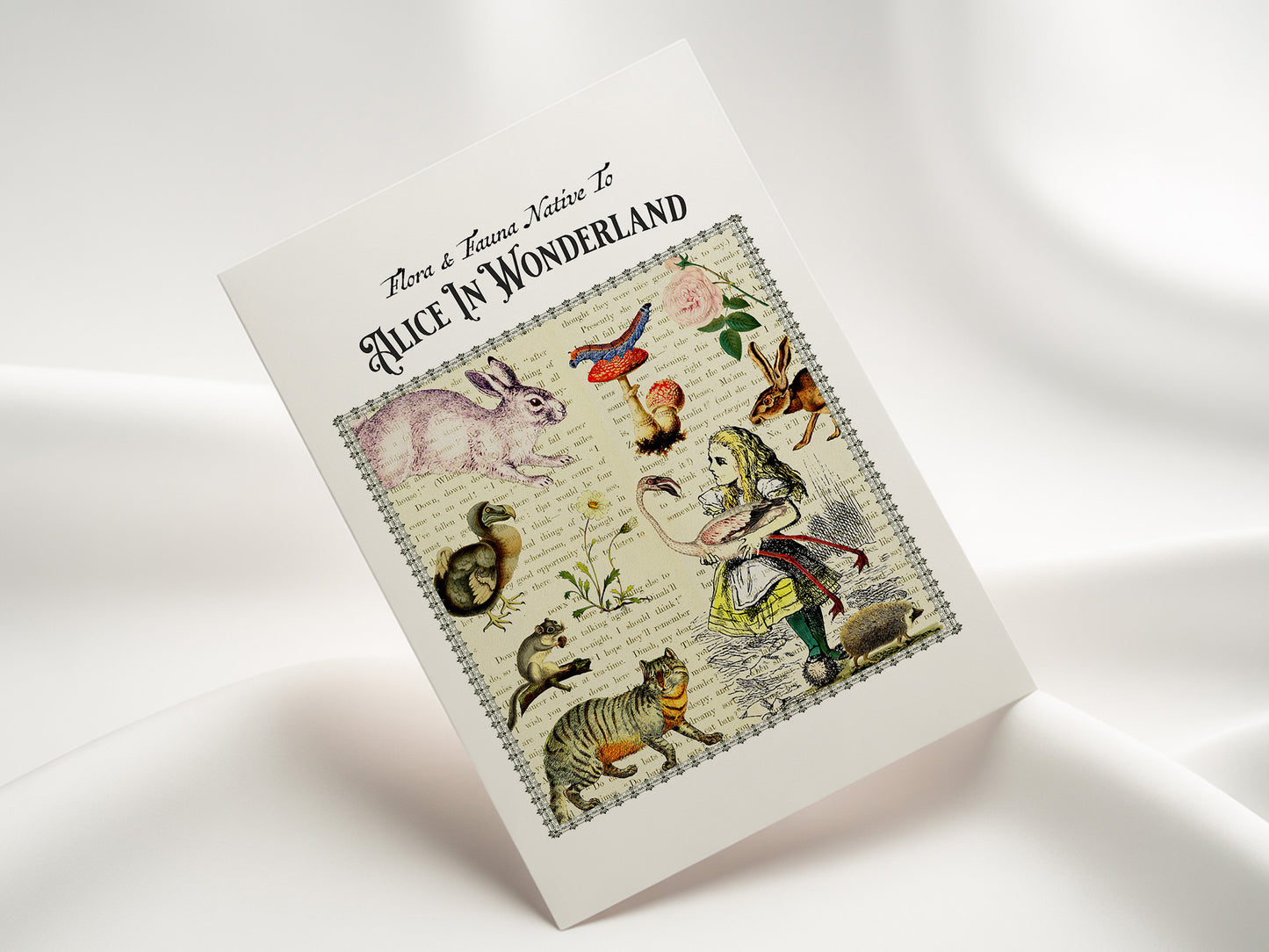 Alice in Wonderland Postcard (Set of 10 identical cards) — Vintage Natural History Collage