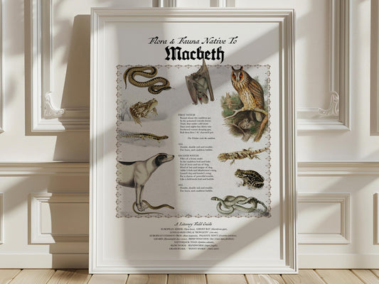 Macbeth Literary Field Guide & Vintage Natural History Collage