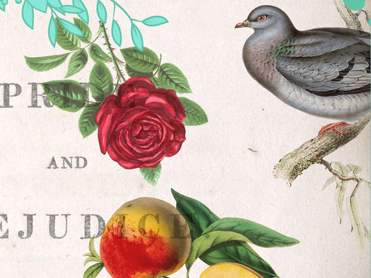 Jane Austen Literary Field Guide Collage