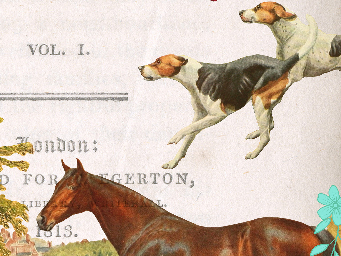Jane Austen Literary Field Guide Collage