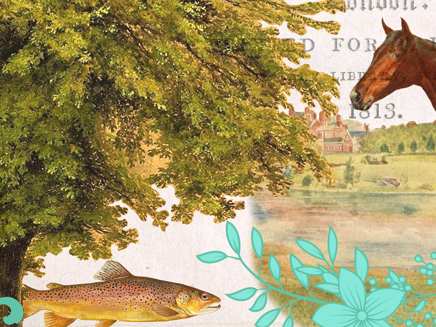 Jane Austen Literary Field Guide Collage