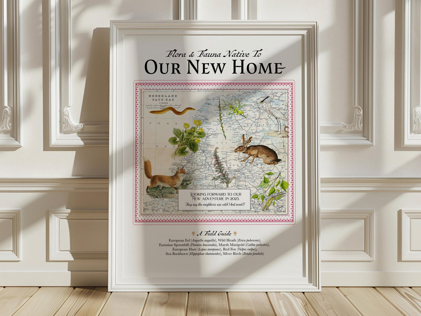 Custom Natural History Collage—A Personalized Field Guide To a Beloved Place