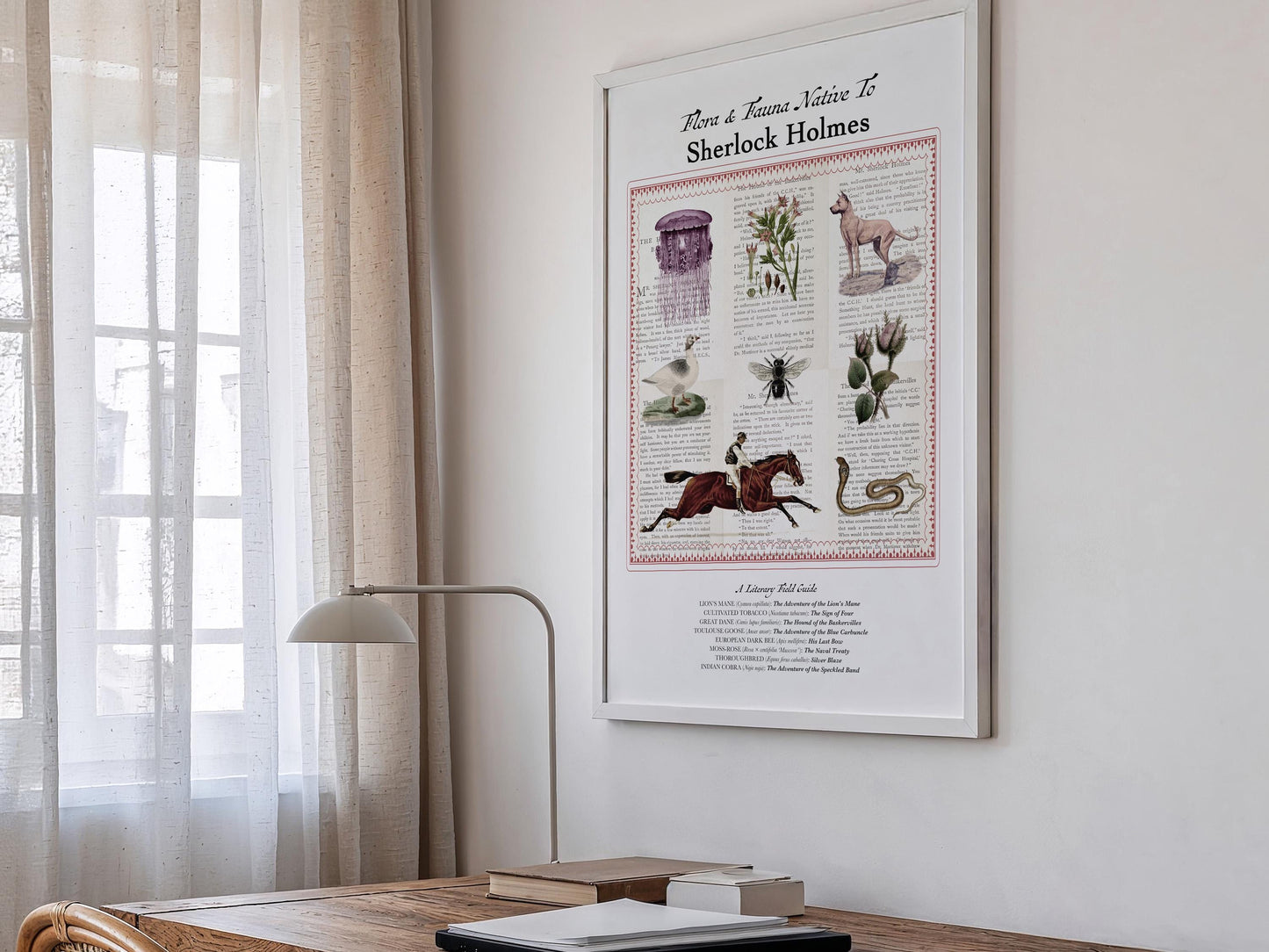 Sherlock Holmes Literary Field Guide & Vintage Natural History Collage