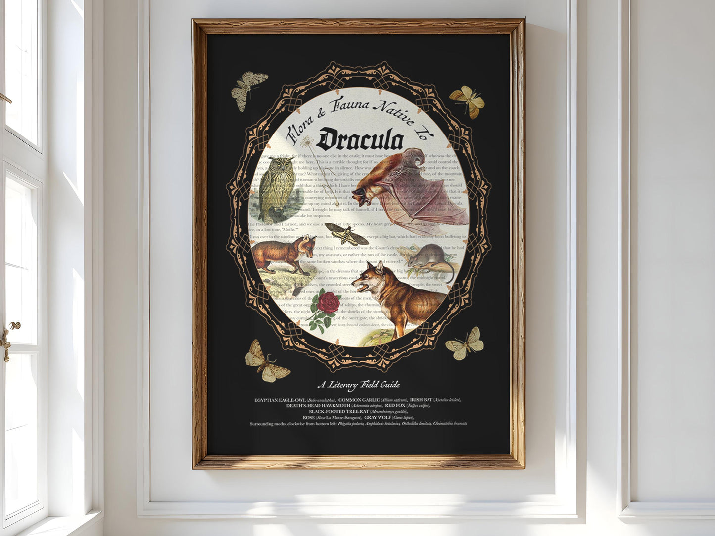 Dracula Literary Field Guide Collage