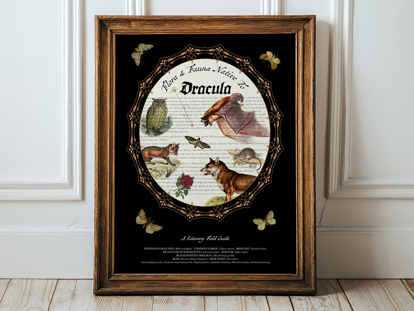 Dracula Literary Field Guide Collage