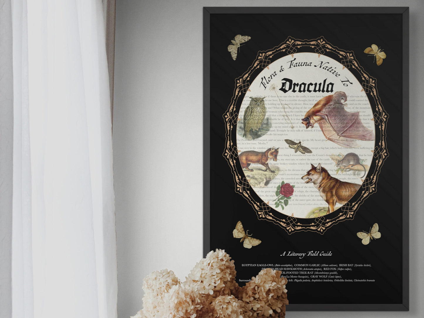 Dracula Literary Field Guide Collage