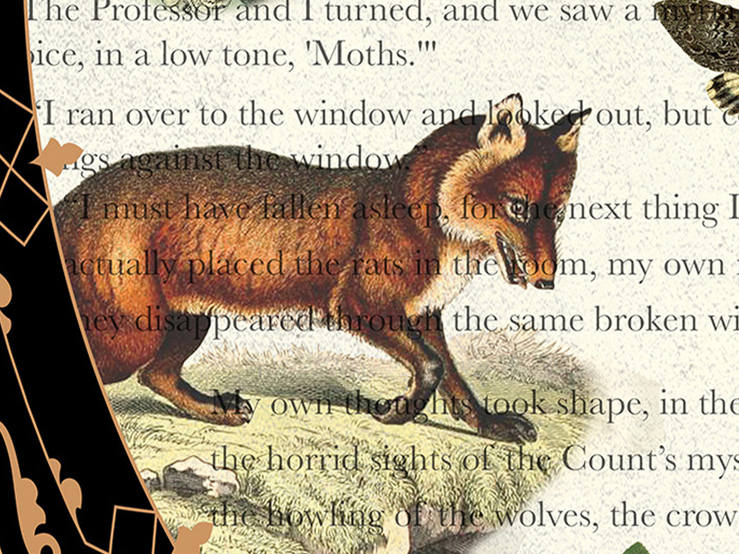 Dracula Literary Field Guide Collage