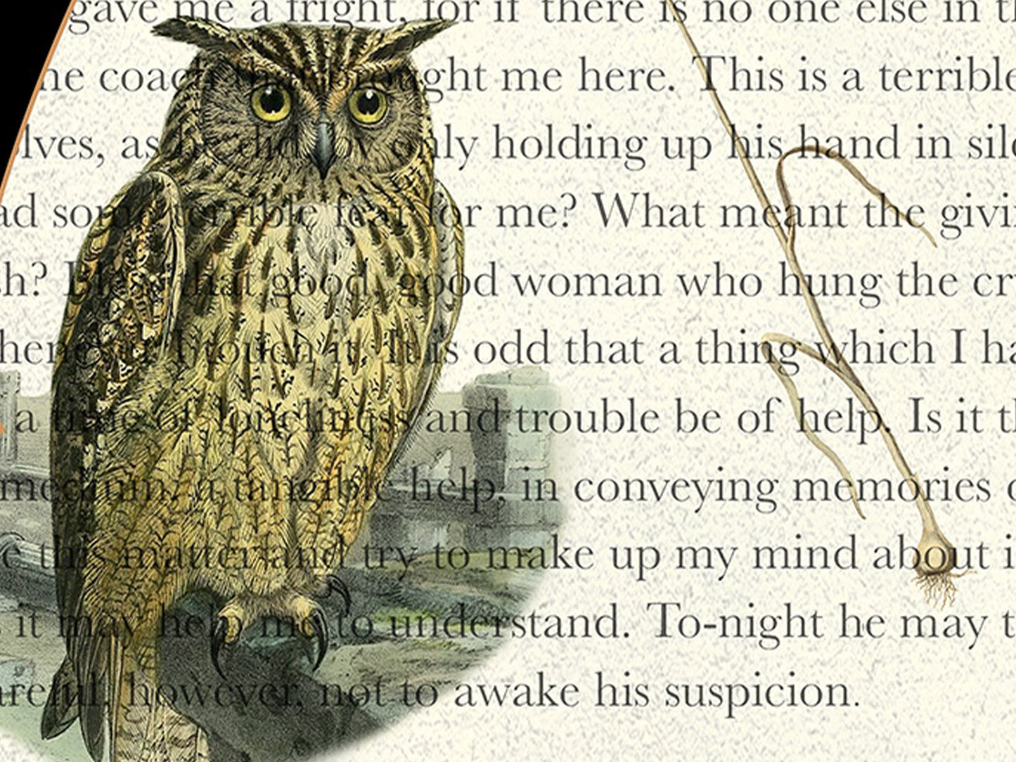 Dracula Literary Field Guide Collage