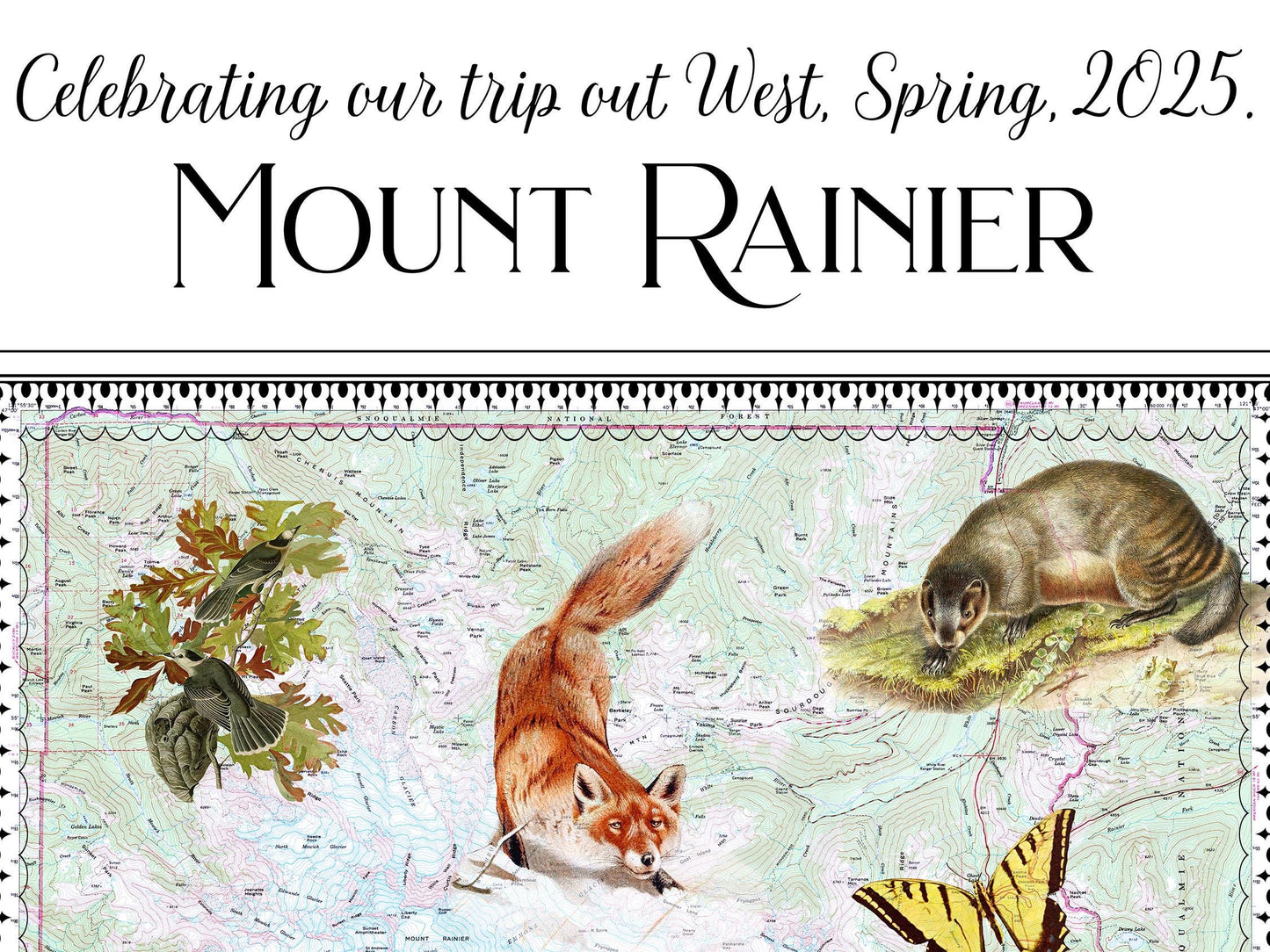 Custom Natural History Collage—A Personalized Field Guide To a Beloved Place