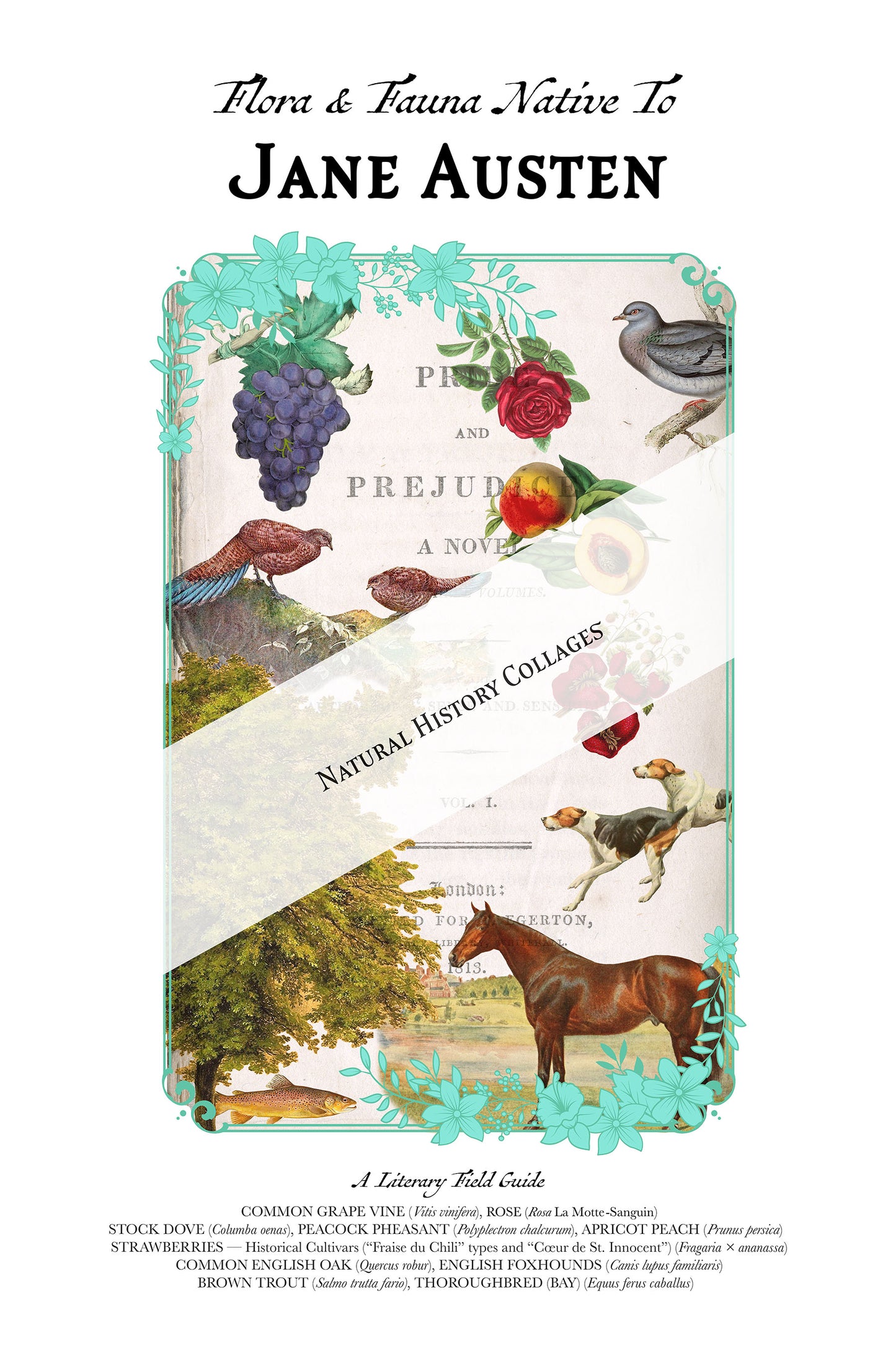 Jane Austen Literary Field Guide Collage