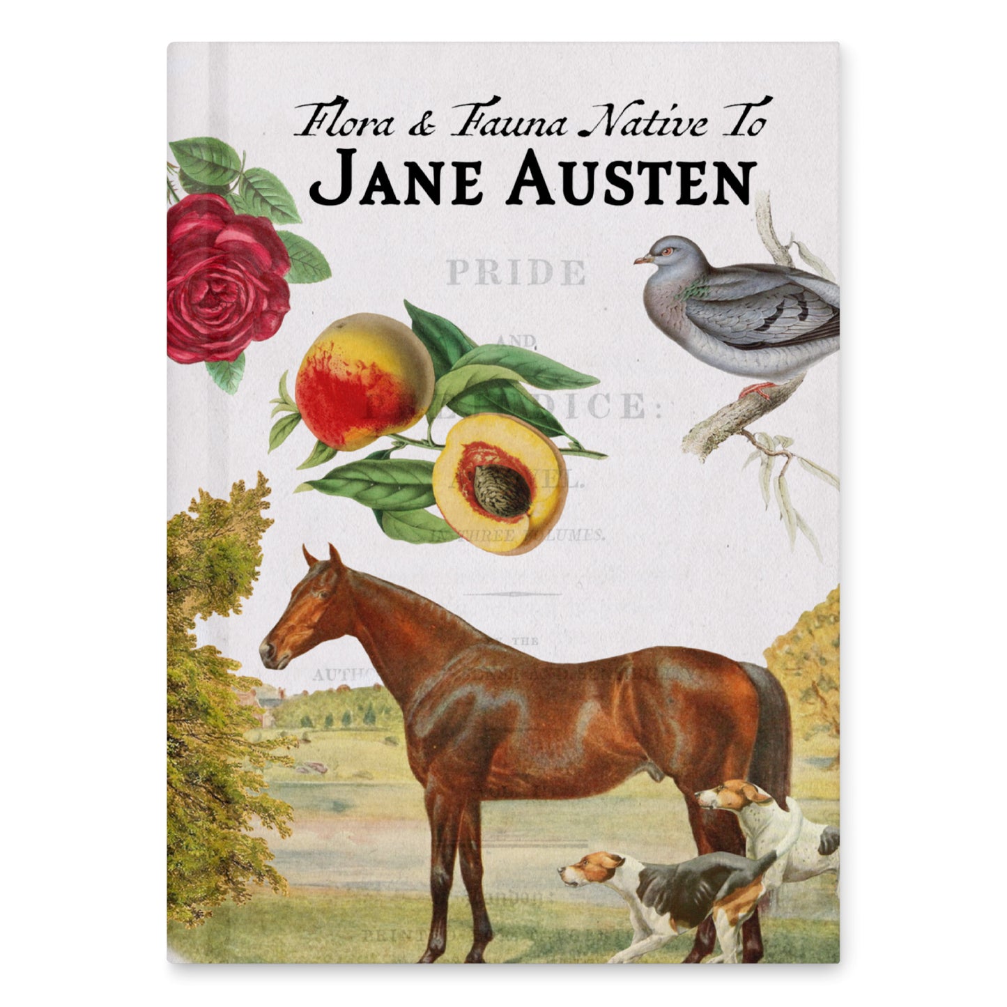 Jane Austen Blank Notebook — Hardcover Journal with Vintage Illustrations