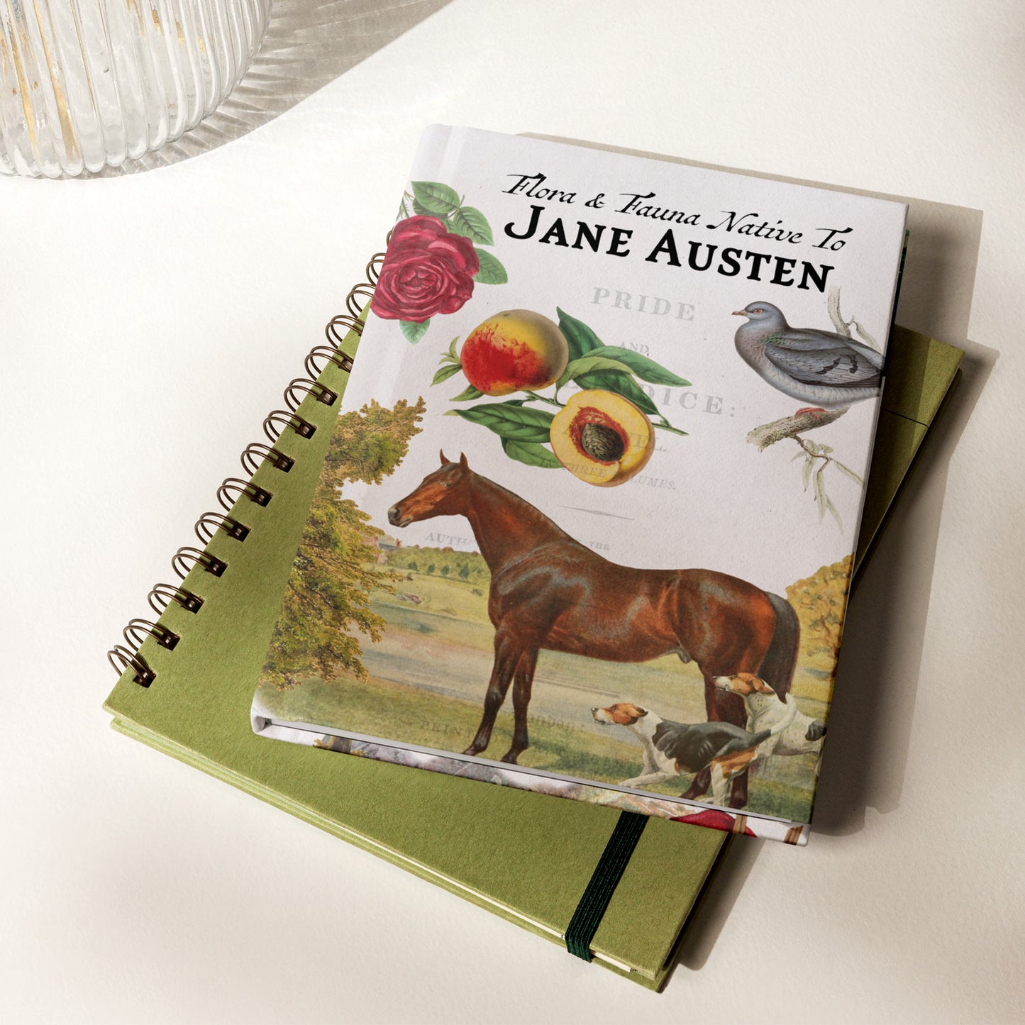 Jane Austen Blank Notebook — Hardcover Journal with Vintage Illustrations