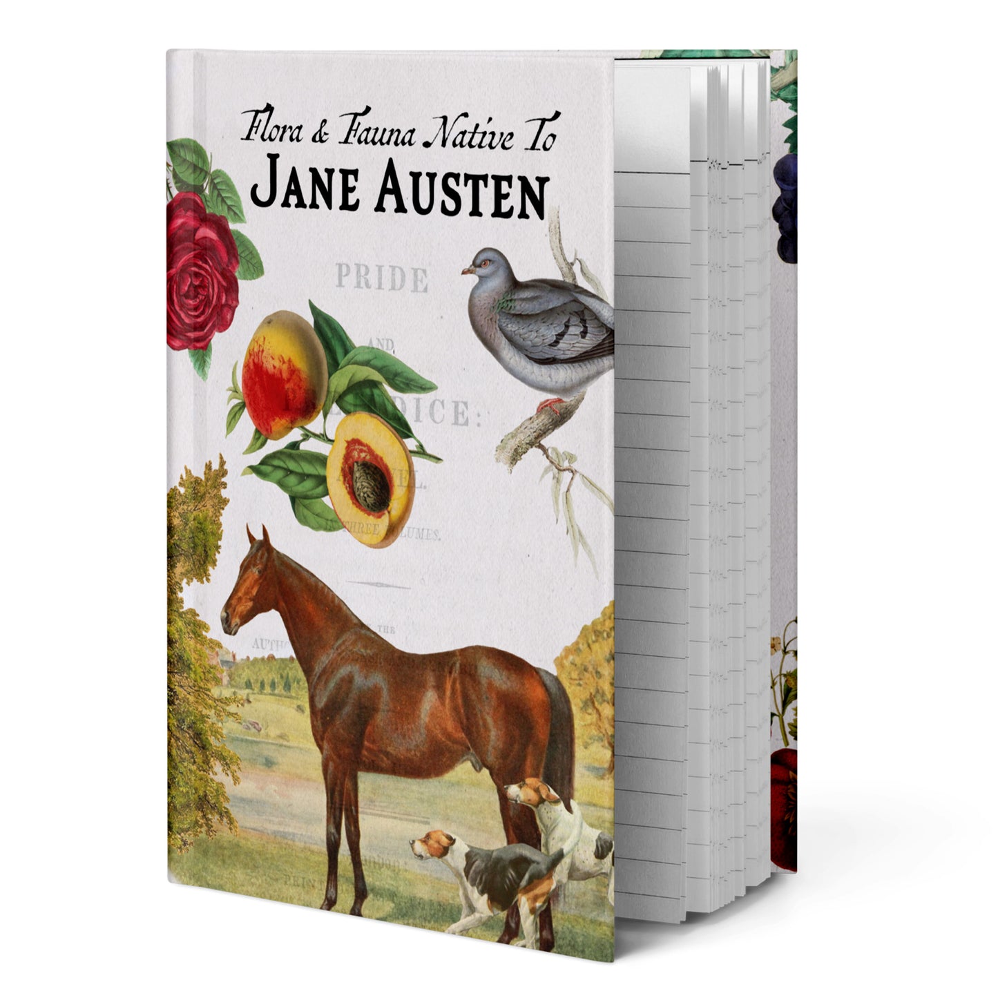 Jane Austen Blank Notebook — Hardcover Journal with Vintage Illustrations
