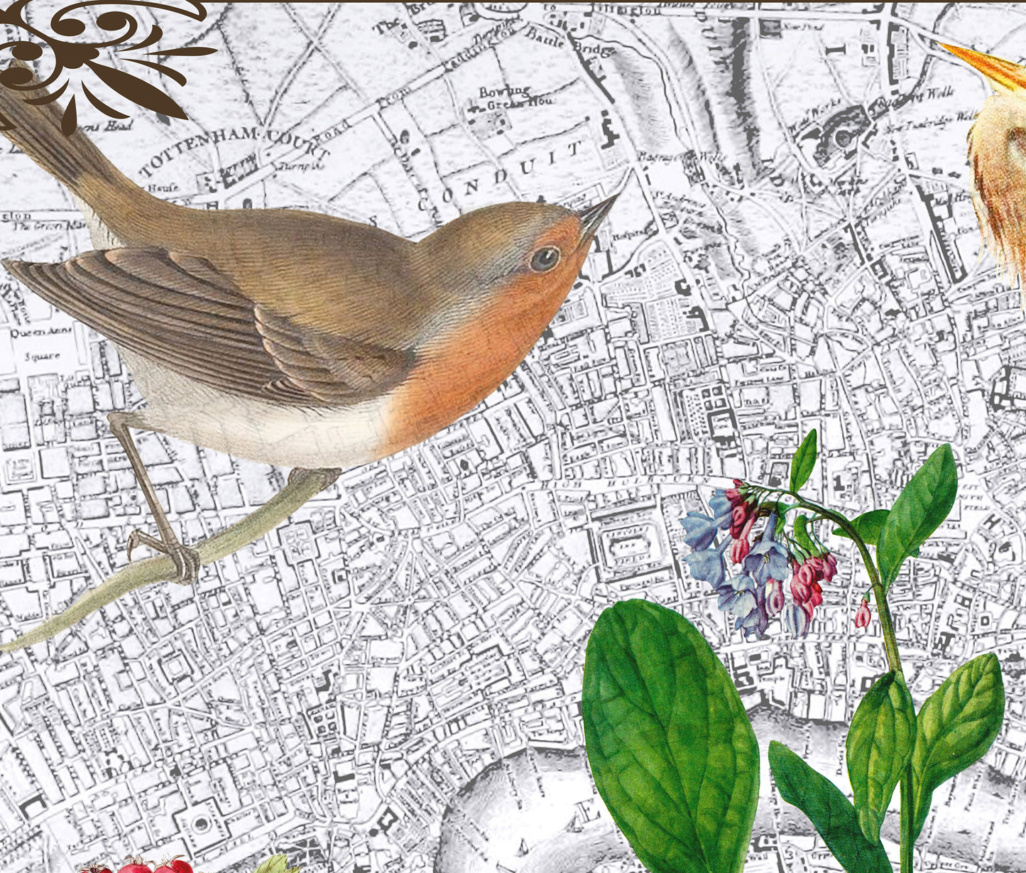 London, England — Vintage Natural History Collage