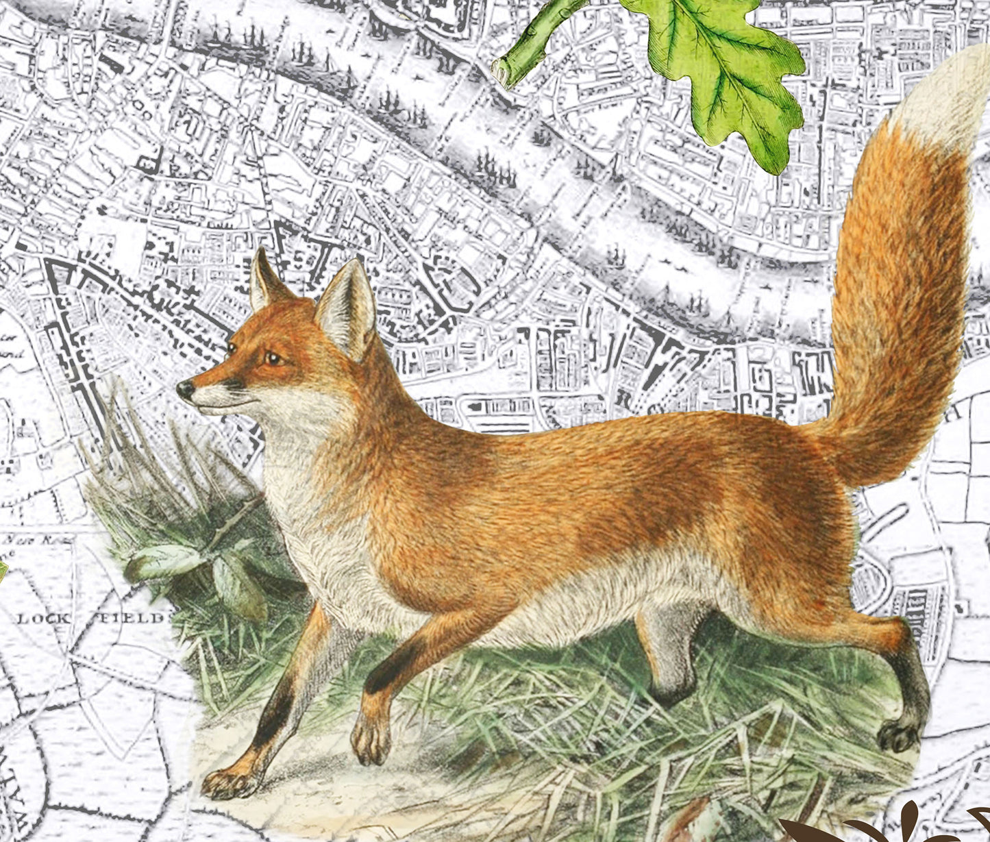London, England — Vintage Natural History Collage