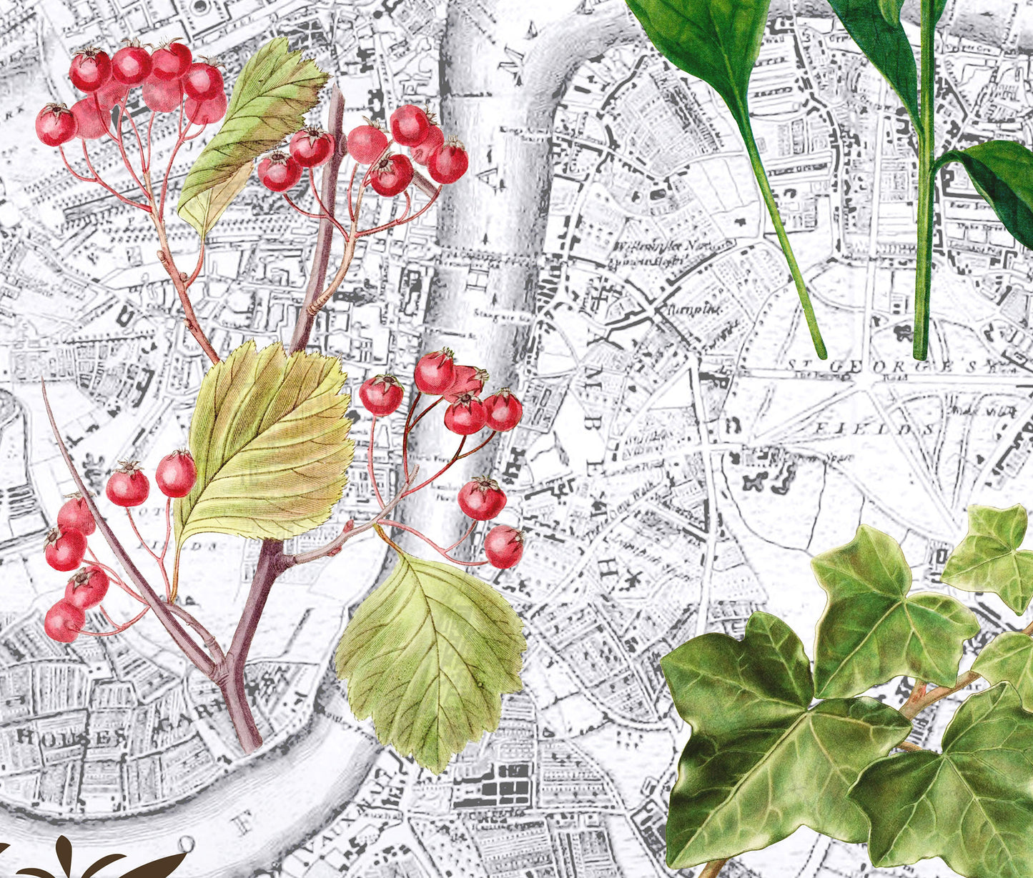 London, England — Vintage Natural History Collage