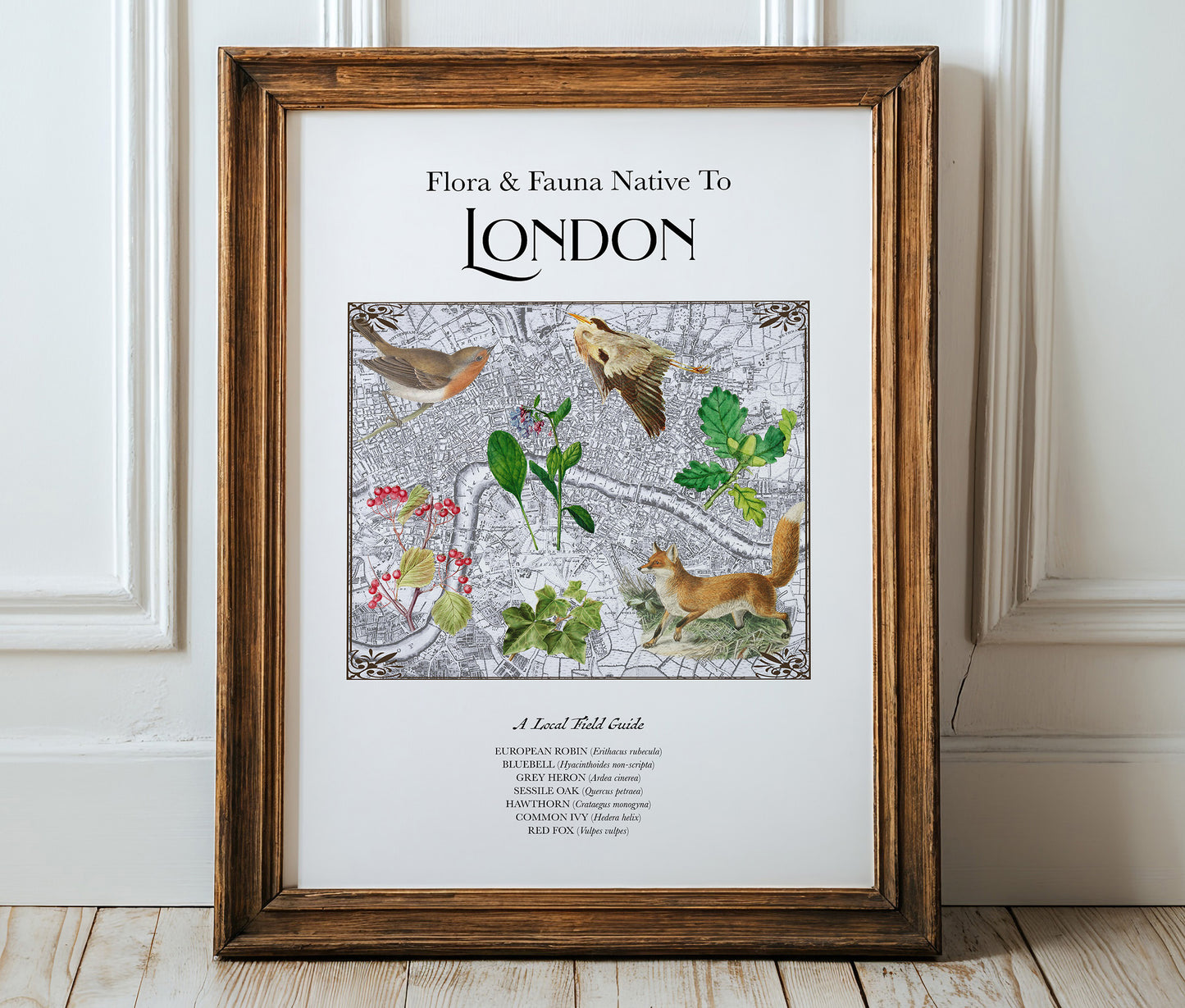 London, England — Vintage Natural History Collage