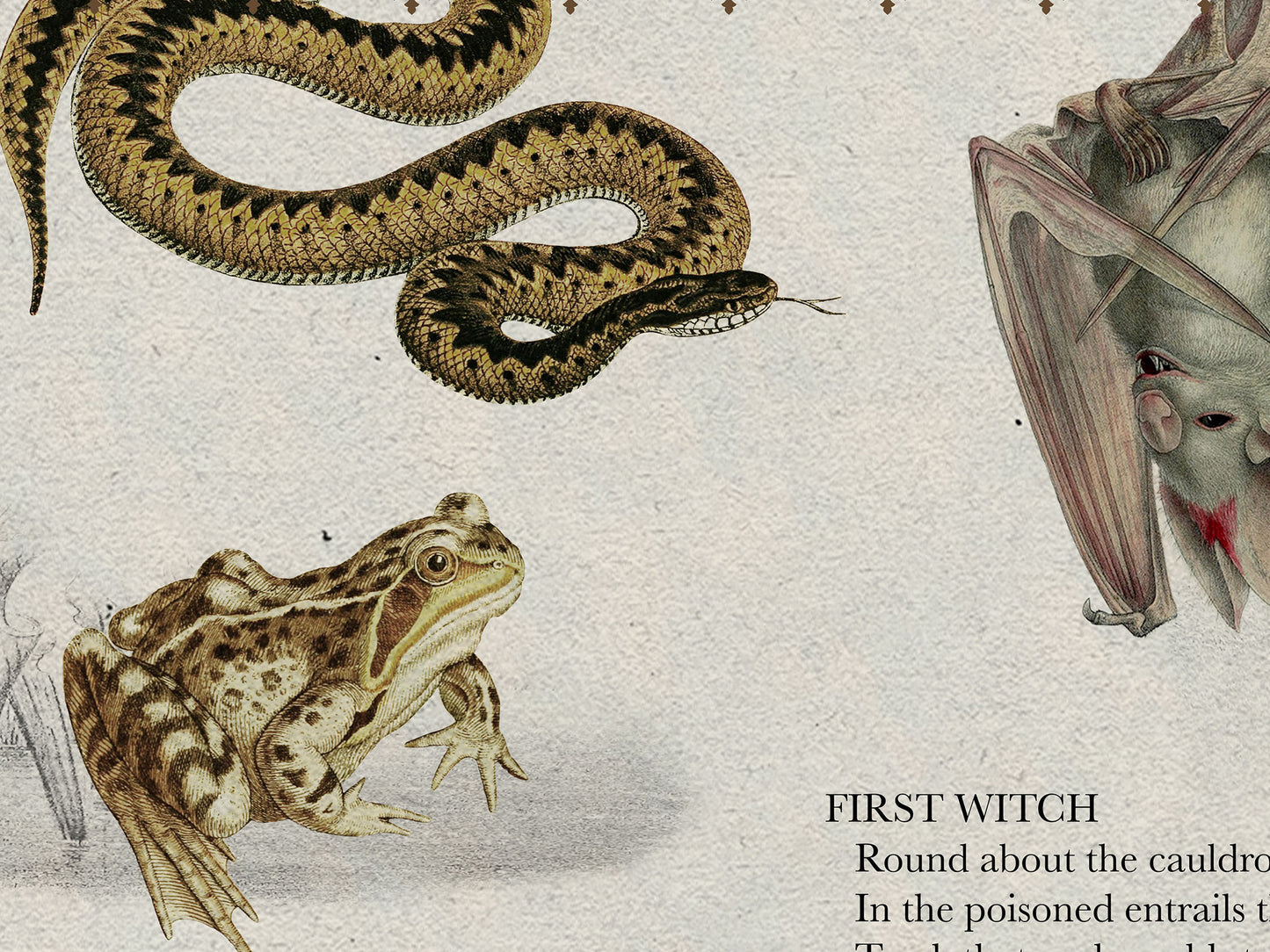 Macbeth Literary Field Guide & Vintage Natural History Collage