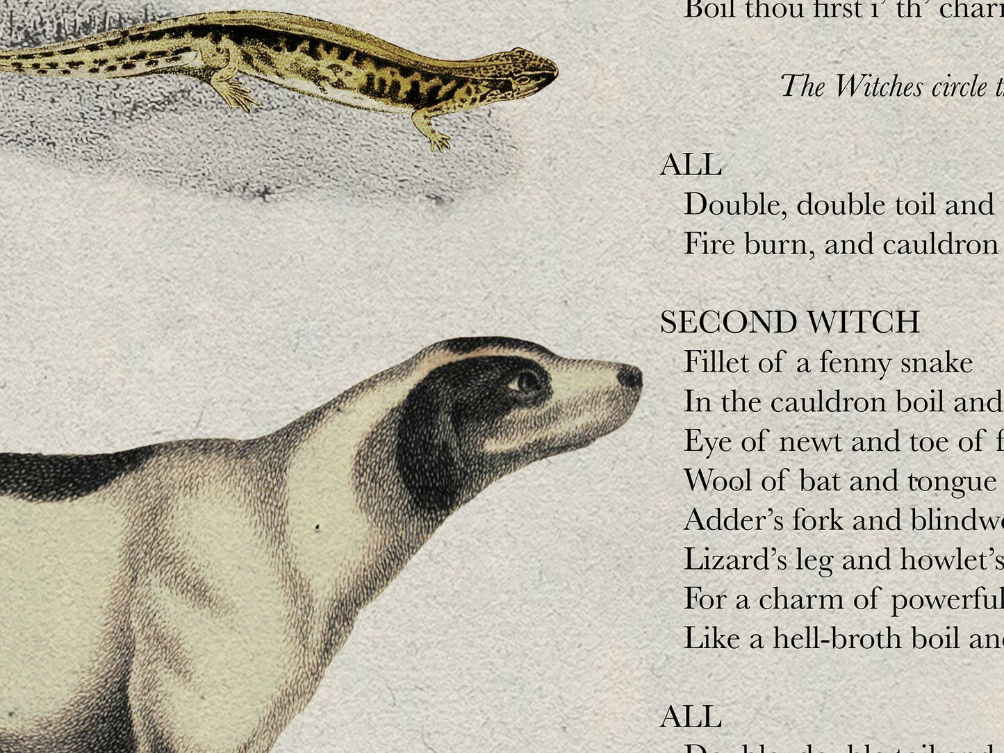 Macbeth Literary Field Guide & Vintage Natural History Collage