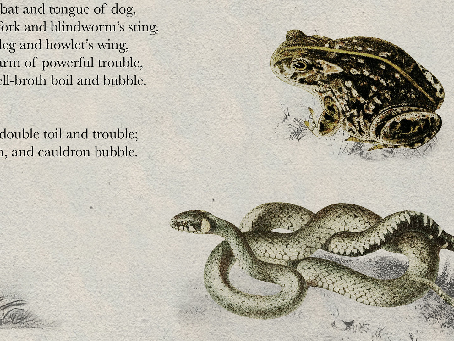 Macbeth Literary Field Guide & Vintage Natural History Collage