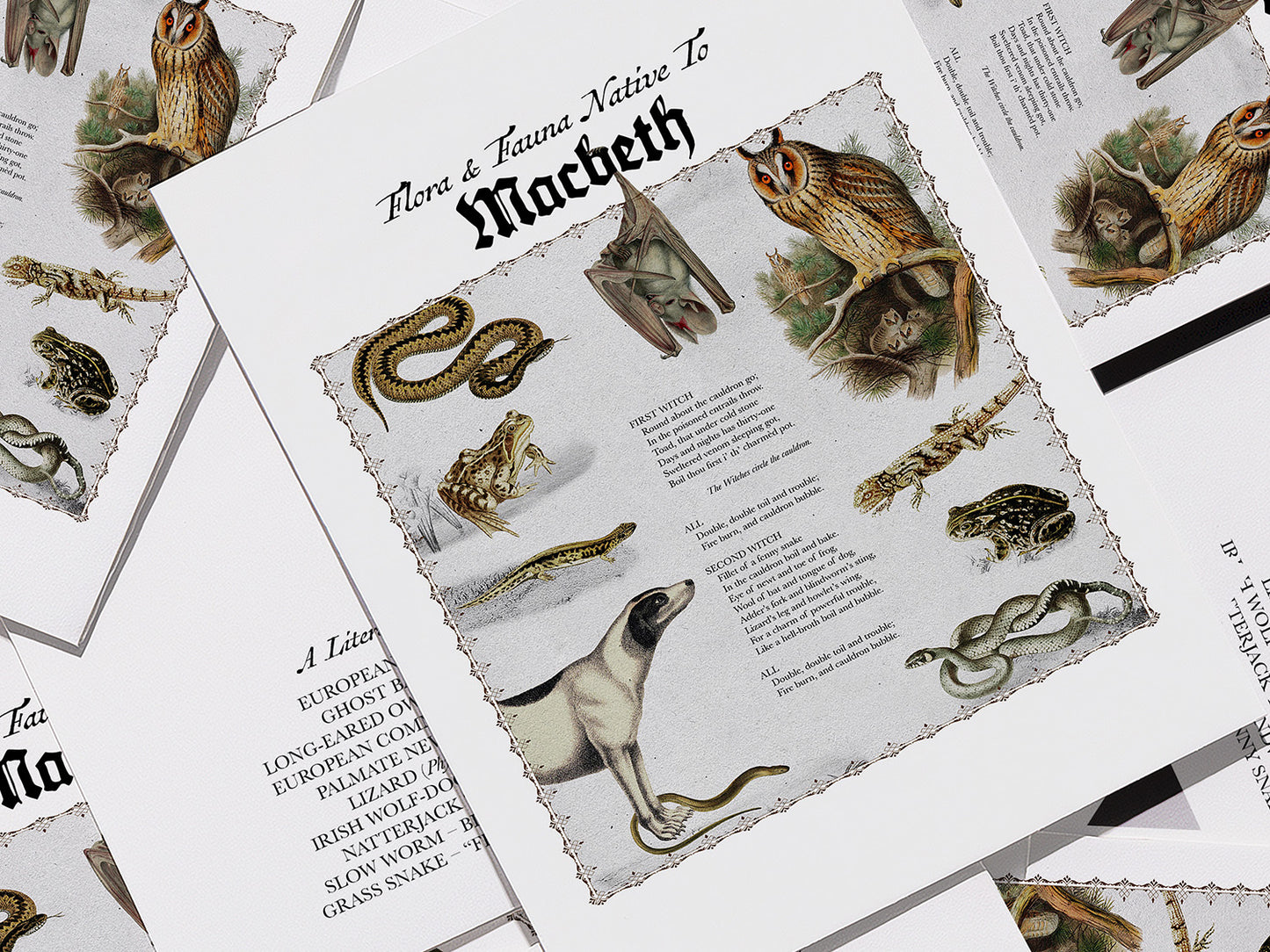 Macbeth Postcard (Set of 10 identical cards) — Vintage Natural History Collage