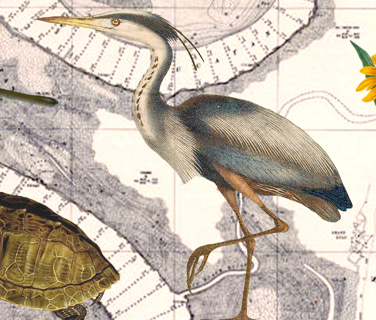 The Mississippi River — Vintage Natural History Collage