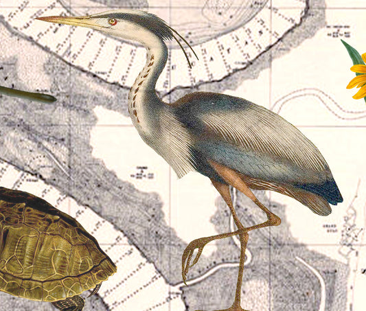 The Mississippi River — Vintage Natural History Collage