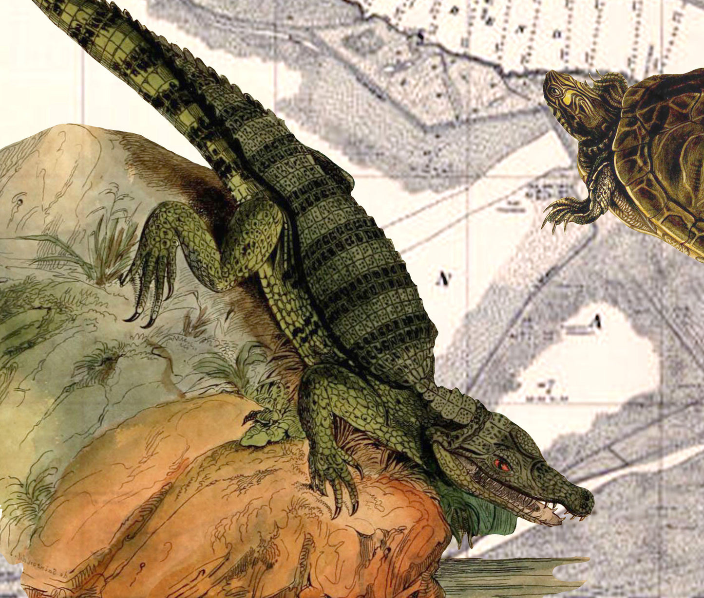 The Mississippi River — Vintage Natural History Collage