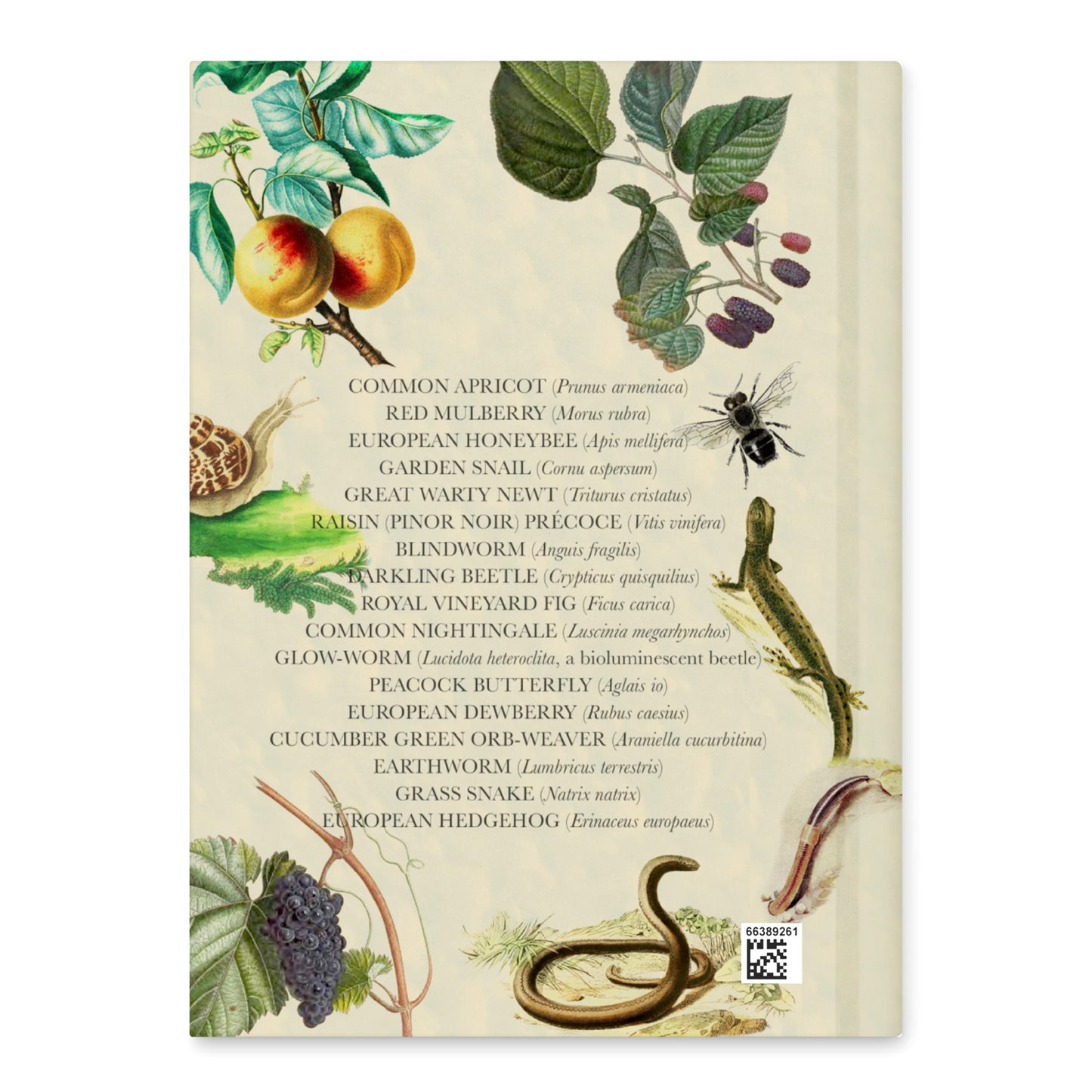 A Midsummer Night’s Dream Blank Notebook — Hardcover Journal with Vintage Illustrations