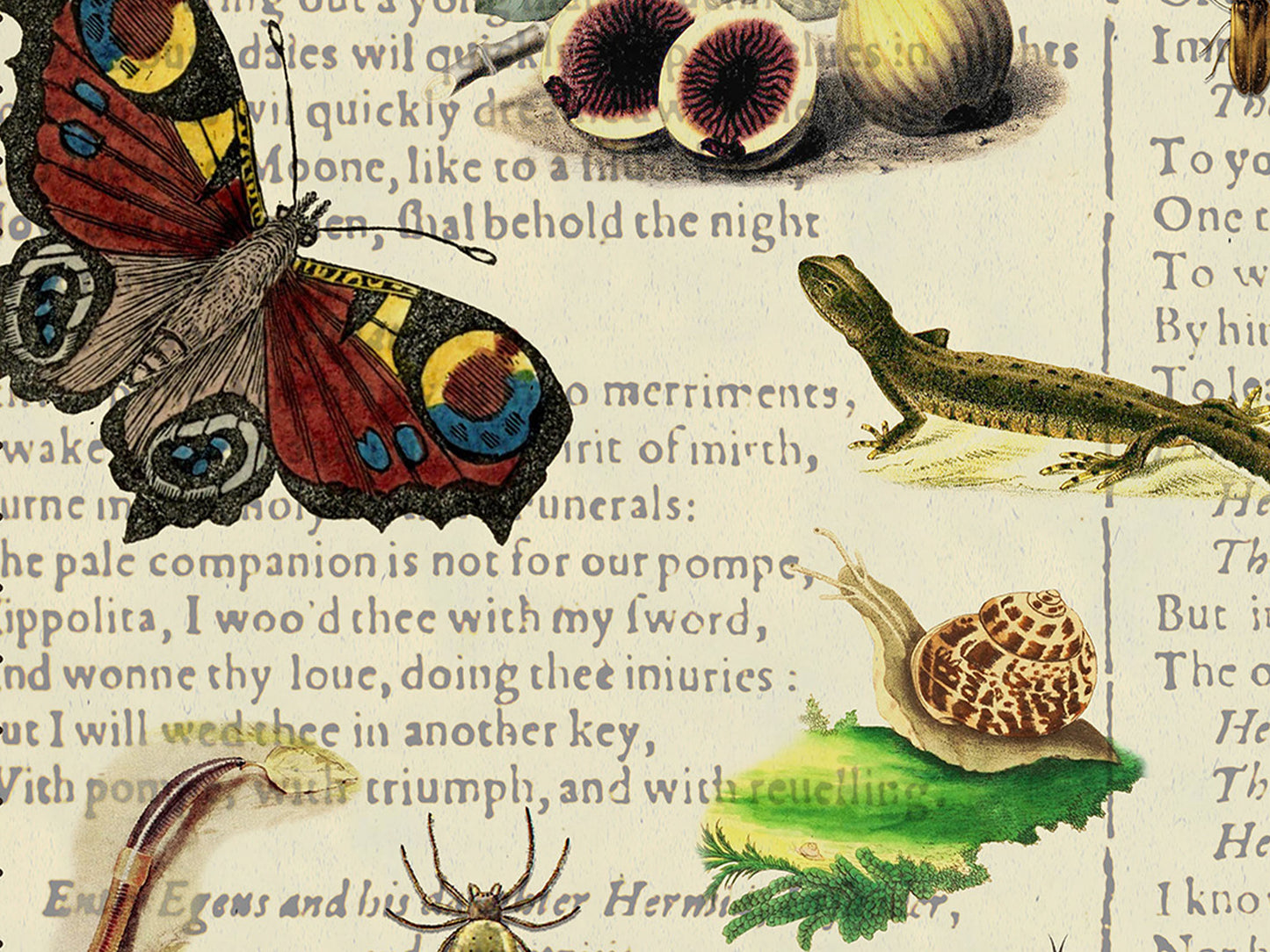 A Midsummer Night's Dream Field Guide