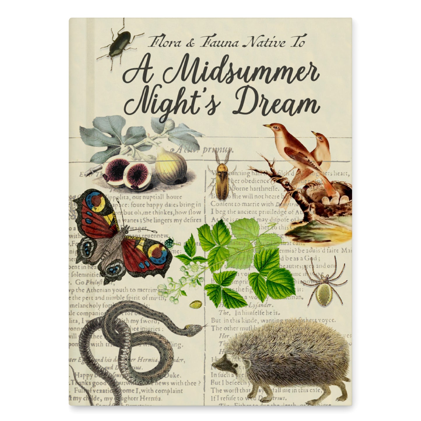 A Midsummer Night’s Dream Blank Notebook — Hardcover Journal with Vintage Illustrations