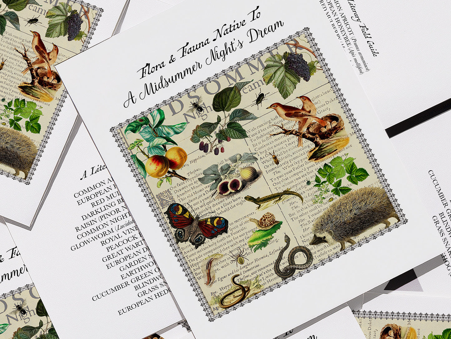 A Midsummer Night's Dream Postcard (Set of 10 identical cards) — Vintage Natural History Collage