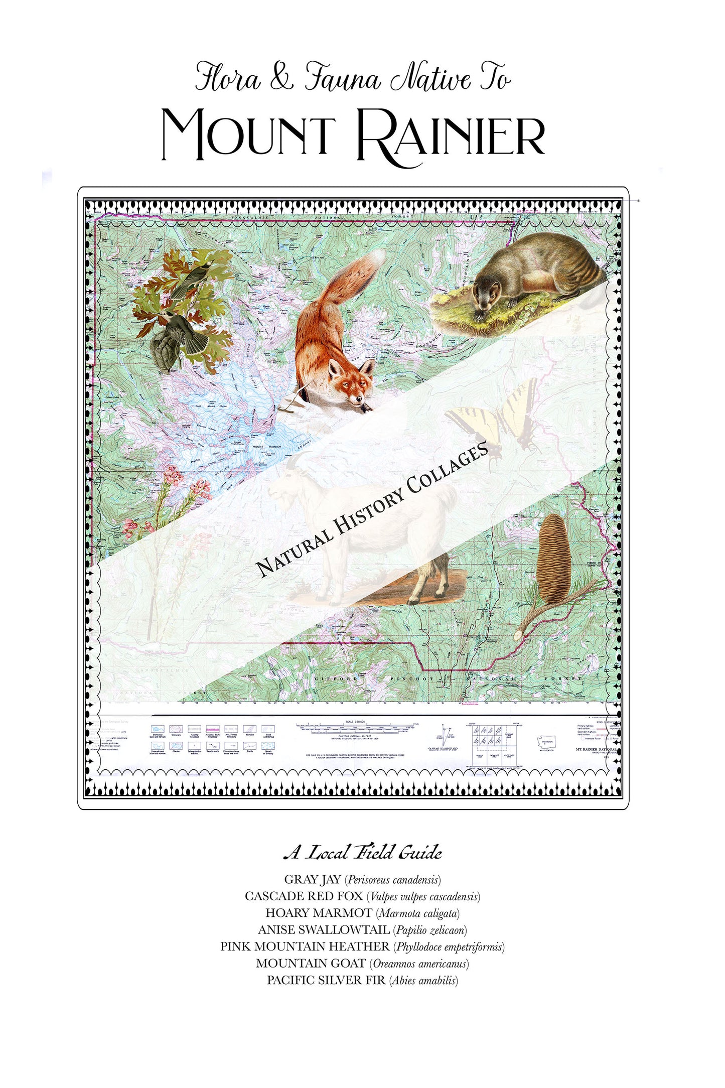 Mt Rainier National Park — Vintage Natural History Collage