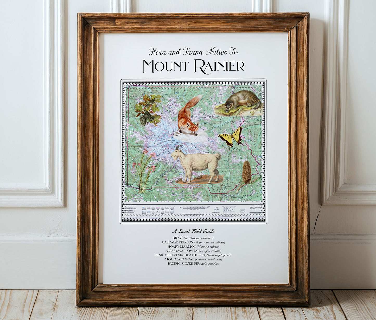 Mt Rainier National Park — Vintage Natural History Collage
