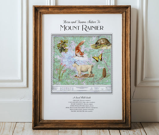 Mt Rainier National Park — Vintage Natural History Collage