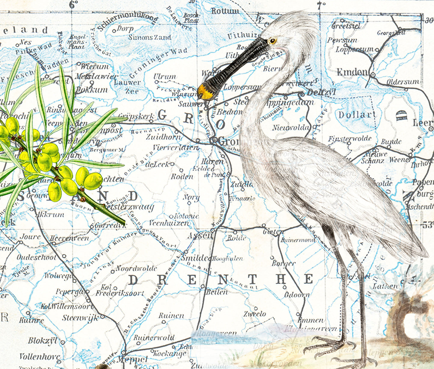 The Netherlands — Vintage Natural History Collage