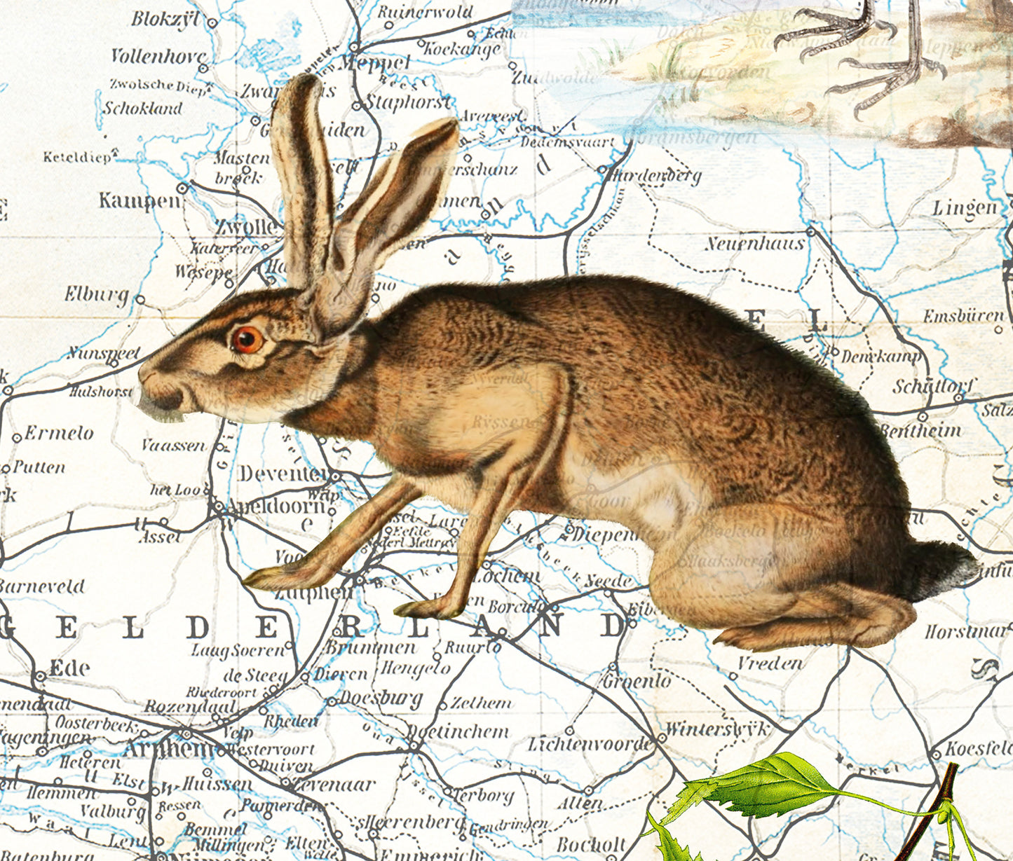 The Netherlands — Vintage Natural History Collage