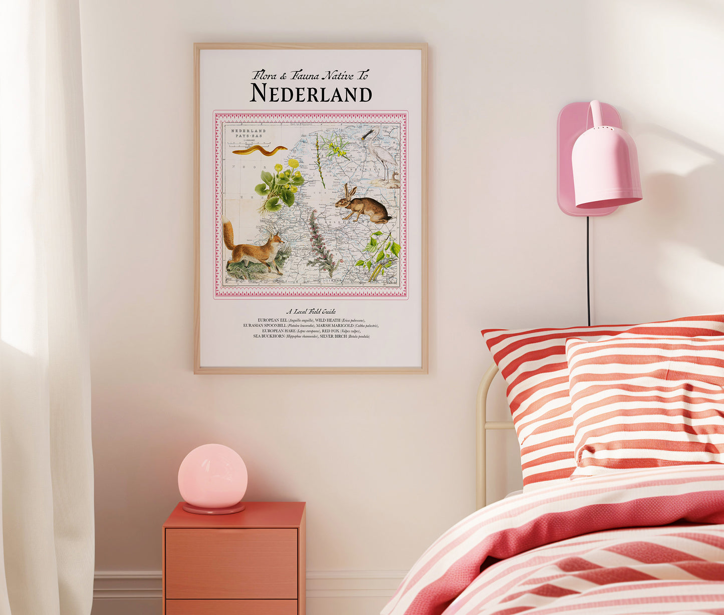 The Netherlands — Vintage Natural History Collage