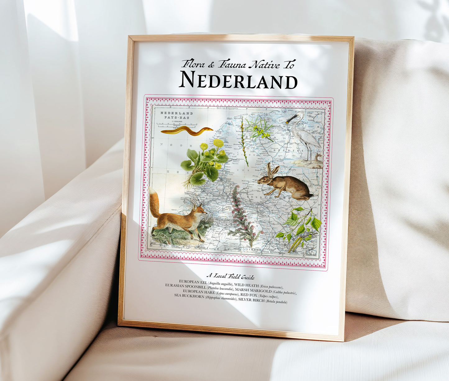 The Netherlands — Vintage Natural History Collage