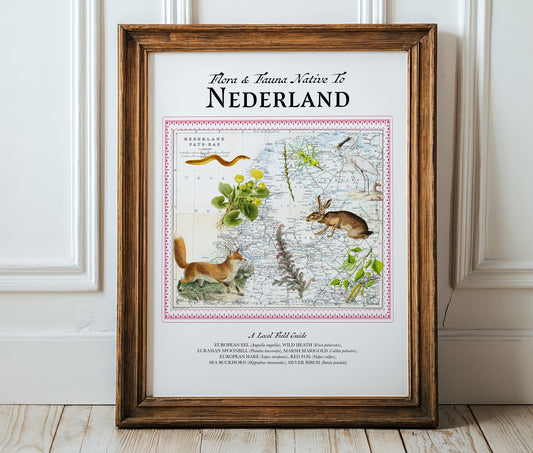 The Netherlands — Vintage Natural History Collage