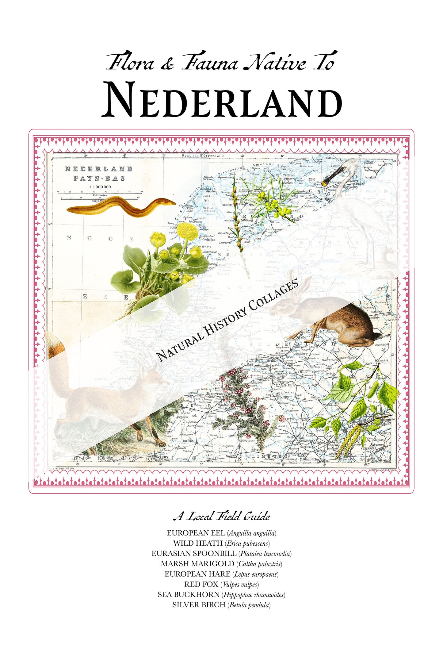 The Netherlands — Vintage Natural History Collage