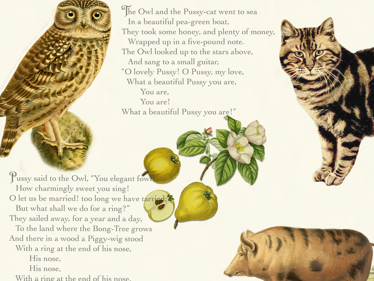 The Owl and the Pussy-Cat Velveteen Blanket