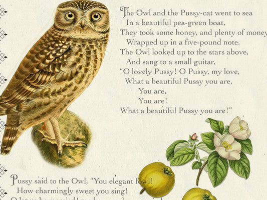 The Owl and the Pussy-cat, a nonsense poem by Edward Lear — Literary Field Guide & Vintage Natural History Collage