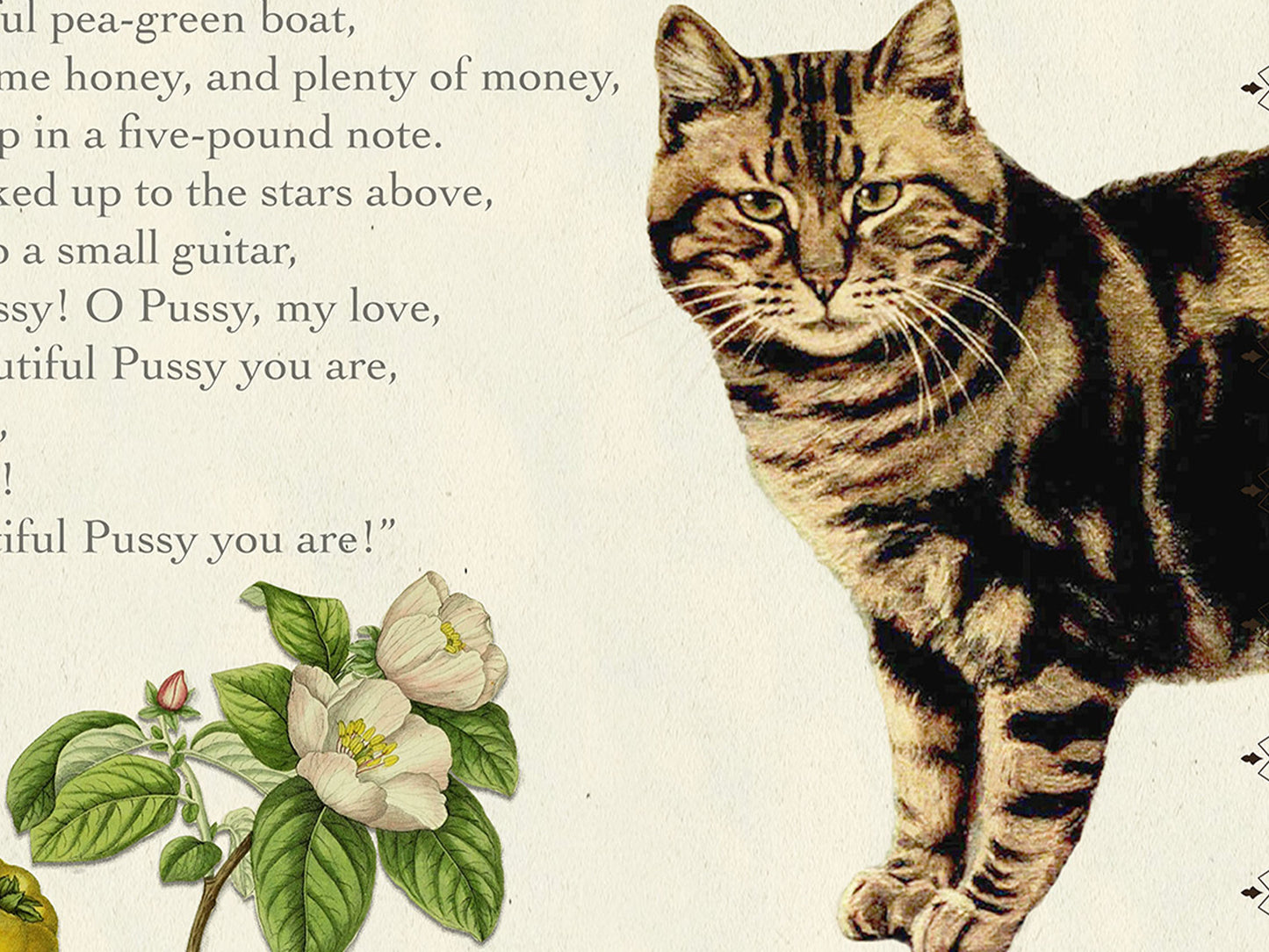 The Owl and the Pussy-cat, a nonsense poem by Edward Lear — Literary Field Guide & Vintage Natural History Collage
