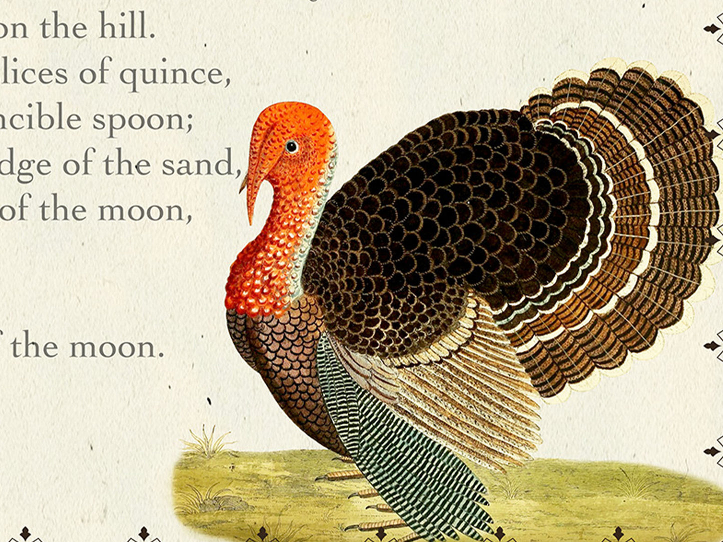 The Owl and the Pussy-cat, a nonsense poem by Edward Lear — Literary Field Guide & Vintage Natural History Collage