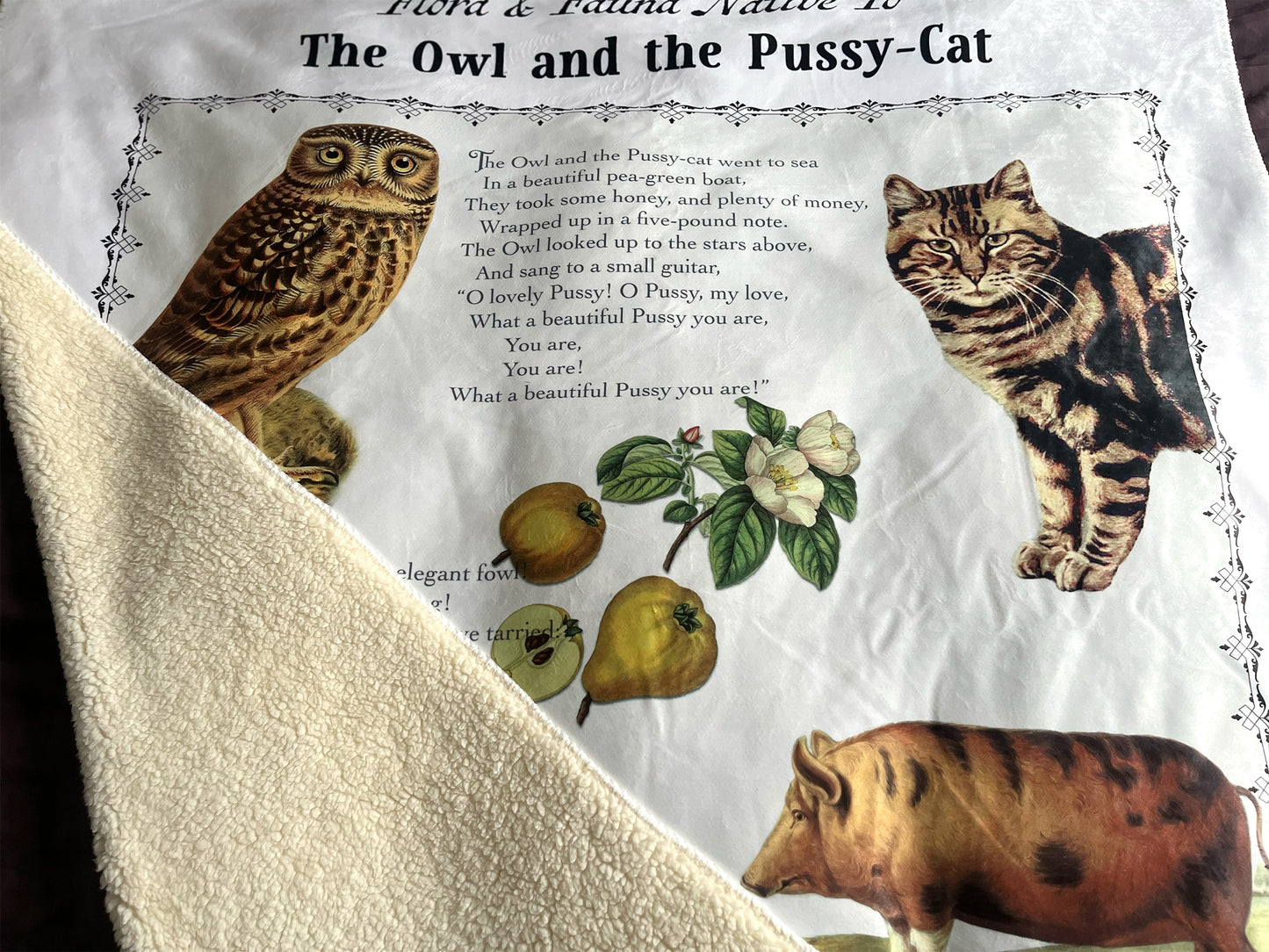 The Owl and the Pussy-Cat Fleece Sherpa Blanket