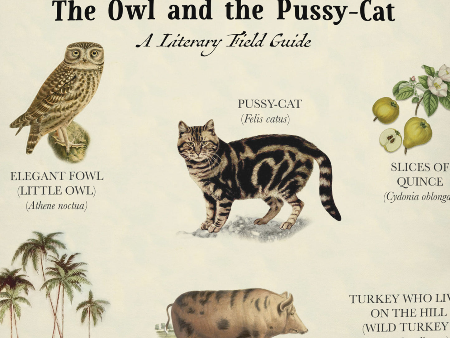 The Owl and the Pussy-Cat Story Pillow
