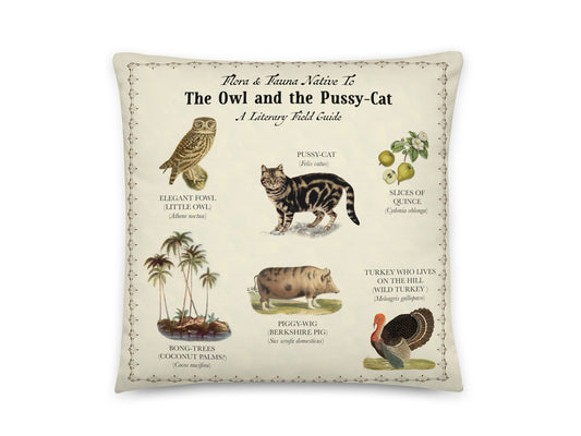 The Owl and the Pussy-Cat Story Pillow