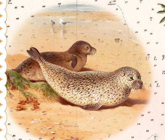 Point Reyes National Seashore — Vintage Natural History Collage