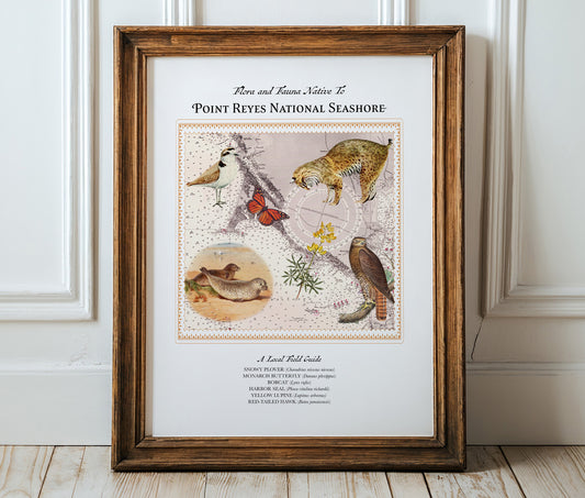 Point Reyes National Seashore — Vintage Natural History Collage
